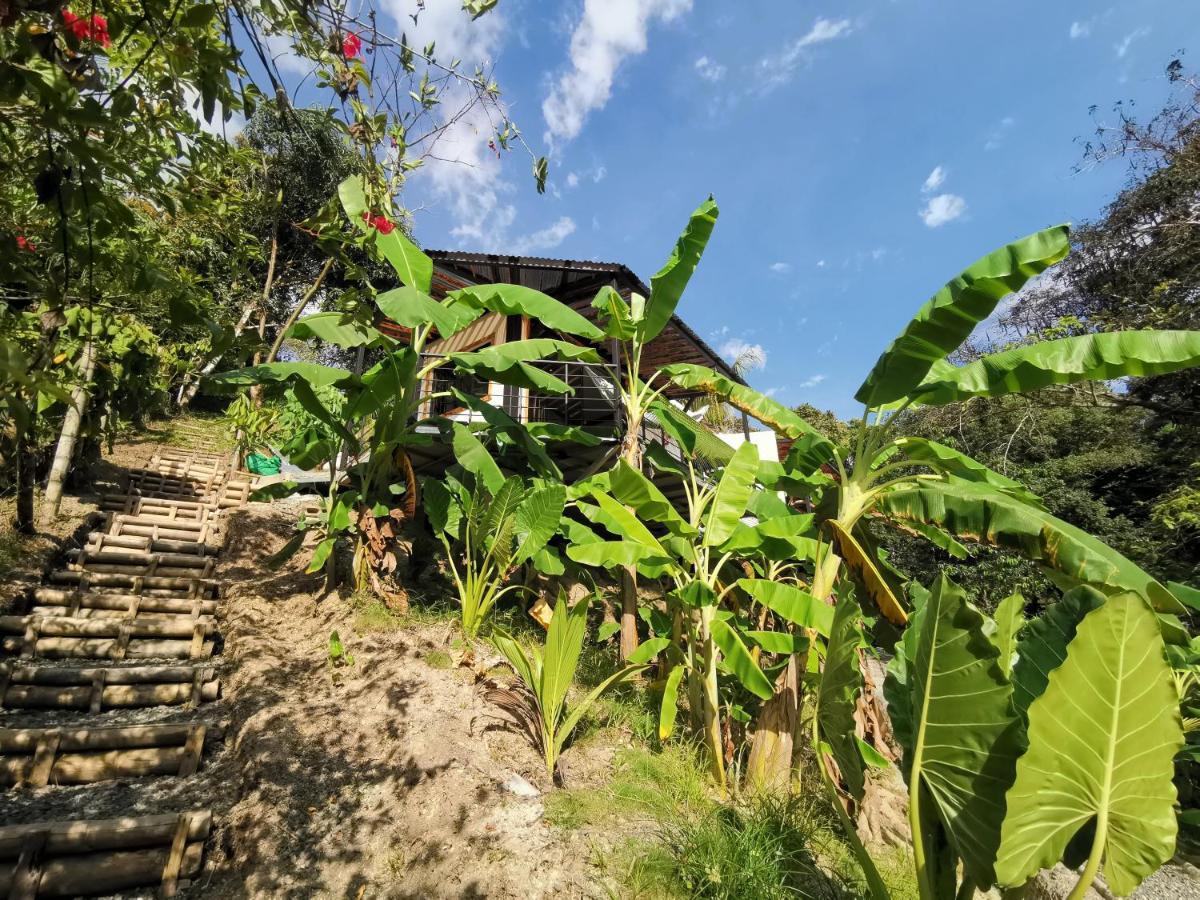 Glamping Tomaselli Otel Manuel Antonio Dış mekan fotoğraf